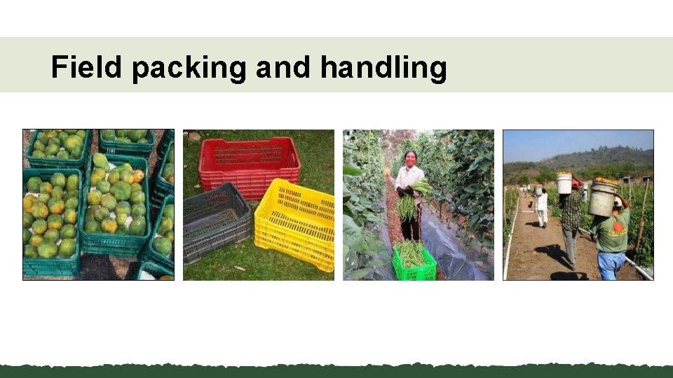 Field packing and handling 