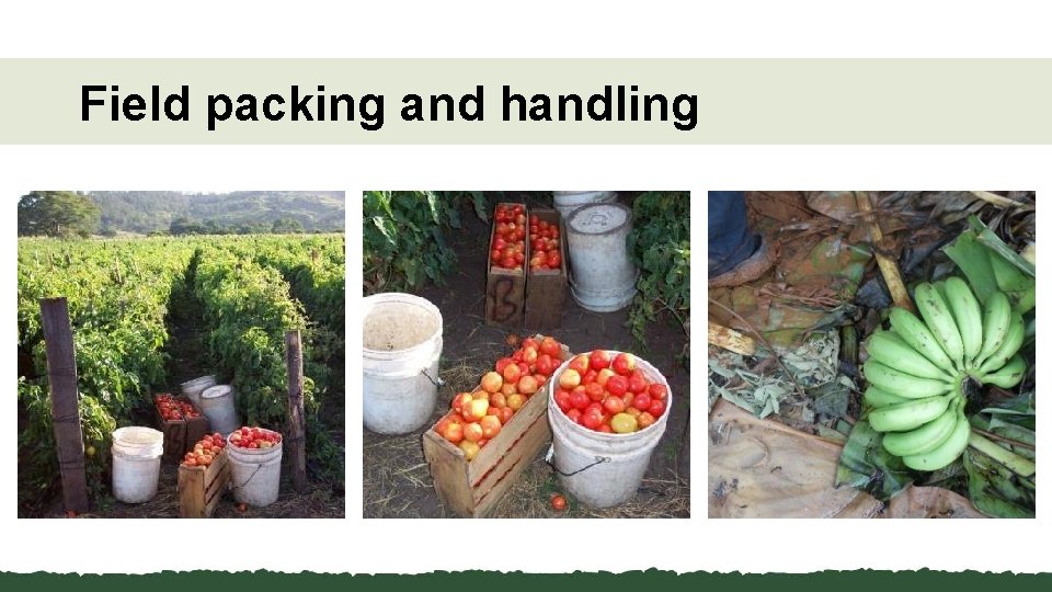 Field packing and handling 