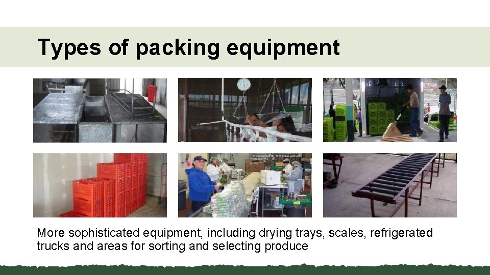 Types of packing equipment More sophisticated equipment, including drying trays, scales, refrigerated trucks and