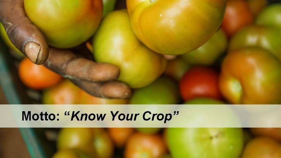 Motto: “Know Your Crop” 