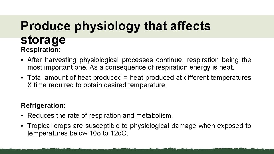 Produce physiology that affects storage Respiration: • After harvesting physiological processes continue, respiration being