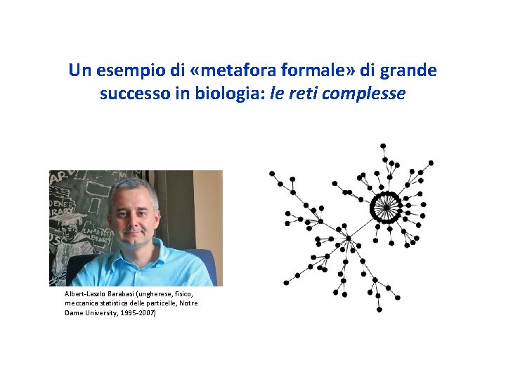 Un esempio di «metafora formale» di grande successo in biologia: le reti complesse Albert-Laszlo