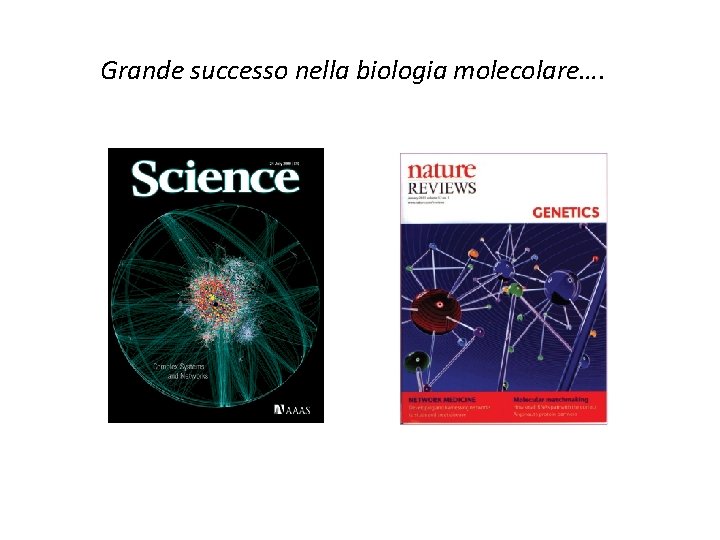 Reti complesse Grande successo nella biologia molecolare…. 