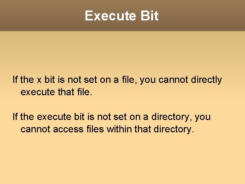 Execute Bit If the x bit is not set on a file, you cannot