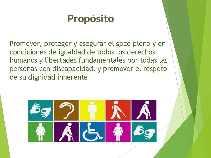 Propósito Promover, proteger y asegurar el goce pleno y en condiciones de igualdad de Propósito Promover, proteger y asegurar el goce pleno y en condiciones de igualdad de