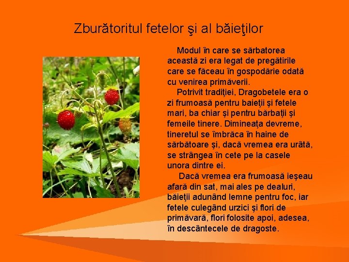 Zburătoritul fetelor şi al băieţilor Modul în care se sărbatorea această zi era legat