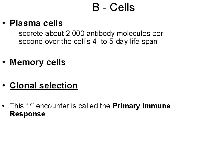 B - Cells • Plasma cells – secrete about 2, 000 antibody molecules per