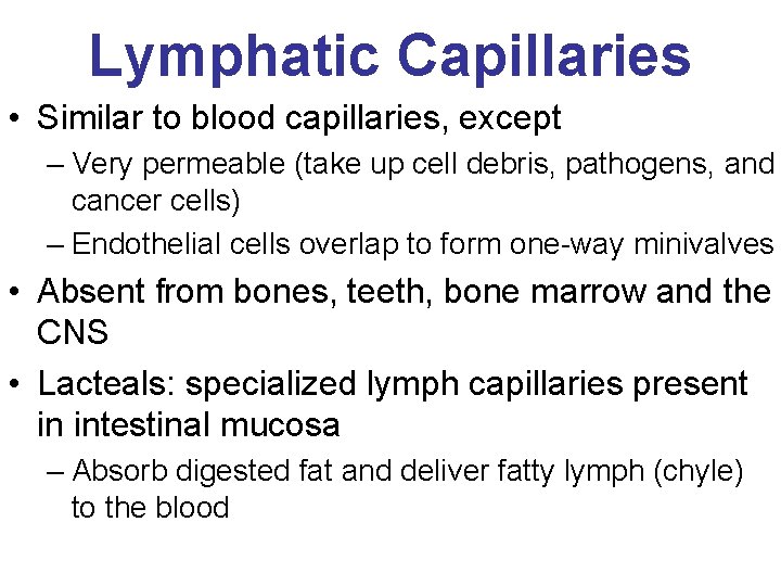 Lymphatic Capillaries • Similar to blood capillaries, except – Very permeable (take up cell
