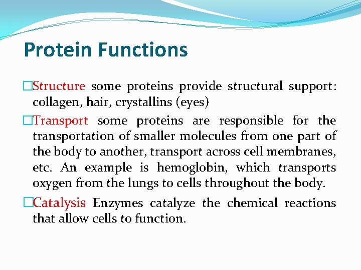 Protein Functions �Structure some proteins provide structural support: collagen, hair, crystallins (eyes) �Transport some