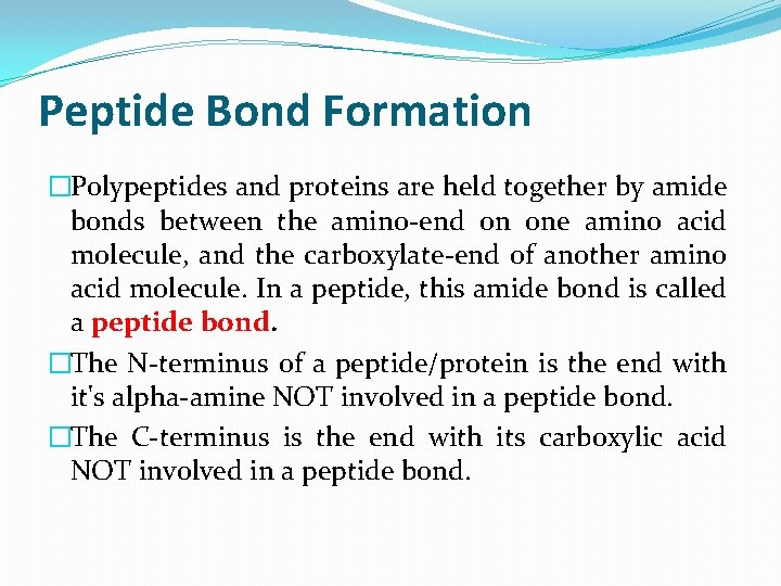 Peptide Bond Formation �Polypeptides and proteins are held together by amide bonds between the