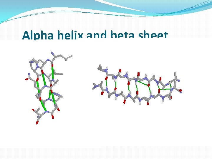 Alpha helix and beta sheet 