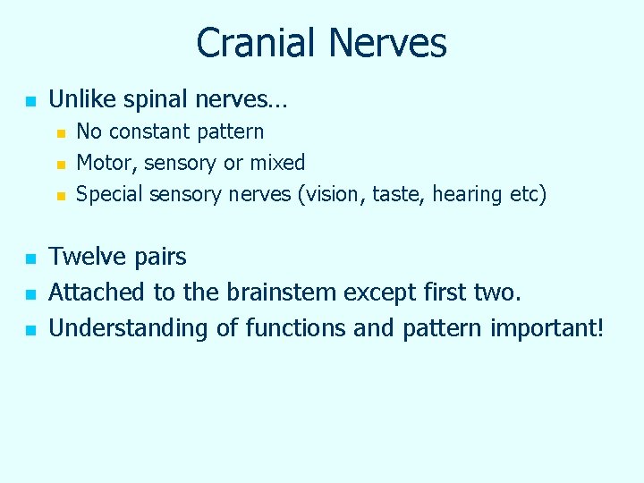 Cranial Nerves n Unlike spinal nerves… n n n No constant pattern Motor, sensory