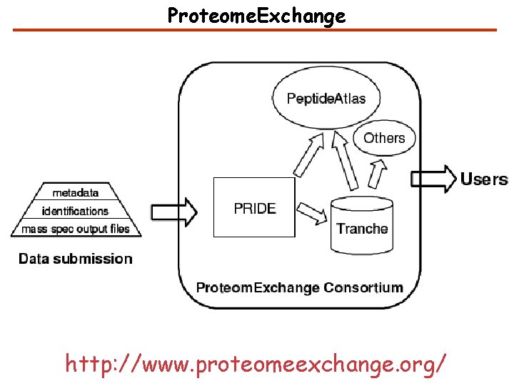 Proteome. Exchange http: //www. proteomeexchange. org/ 
