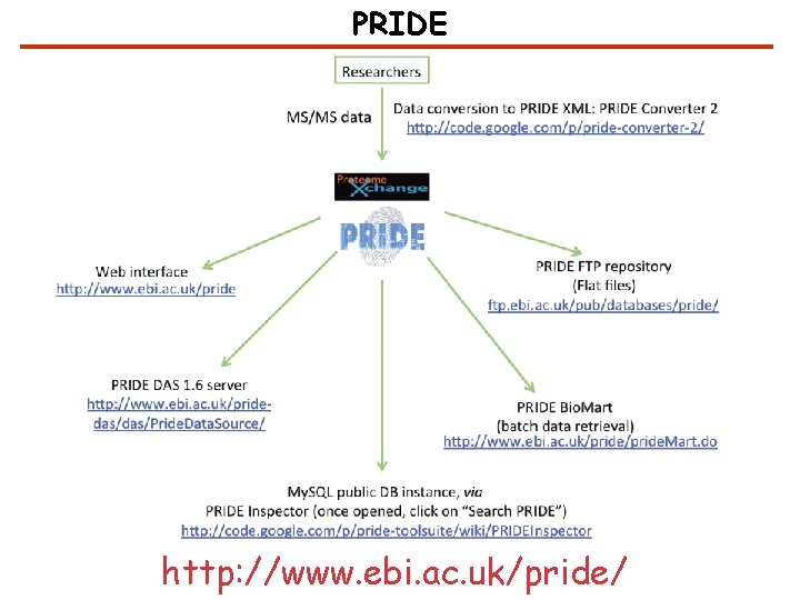PRIDE http: //www. ebi. ac. uk/pride/ 