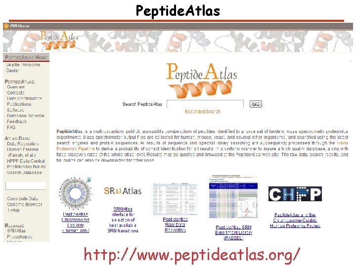 Peptide. Atlas http: //www. peptideatlas. org/ 