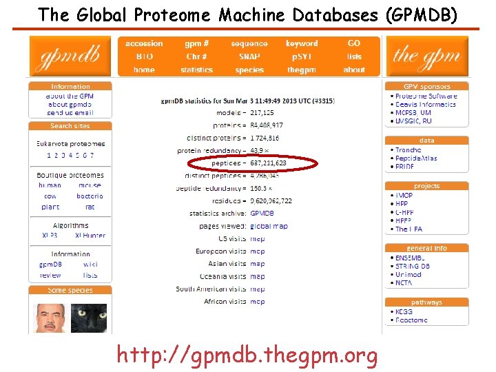The Global Proteome Machine Databases (GPMDB) http: //gpmdb. thegpm. org 