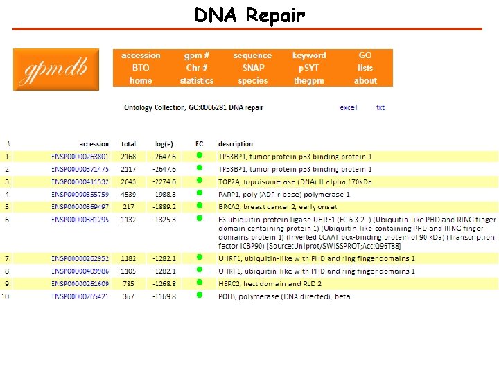 DNA Repair 