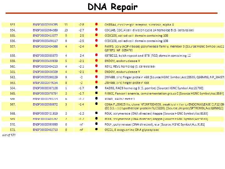 DNA Repair 