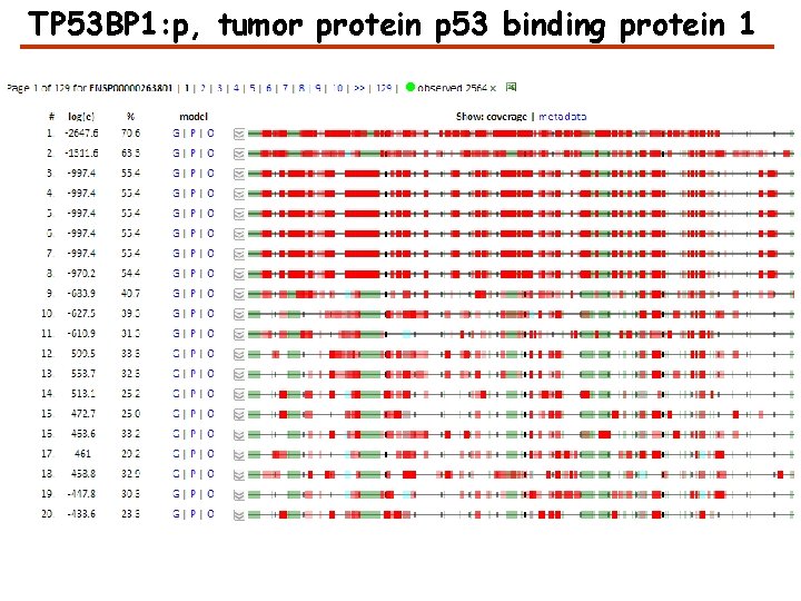 TP 53 BP 1: p, tumor protein p 53 binding protein 1 