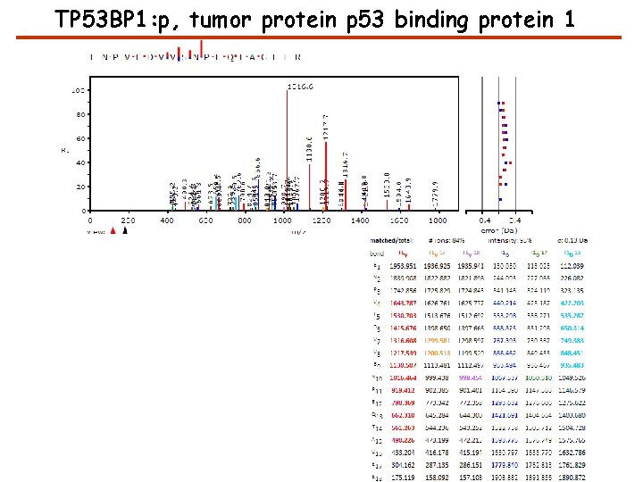 TP 53 BP 1: p, tumor protein p 53 binding protein 1 