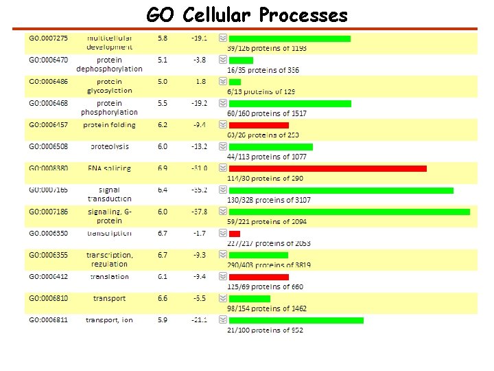 GO Cellular Processes 