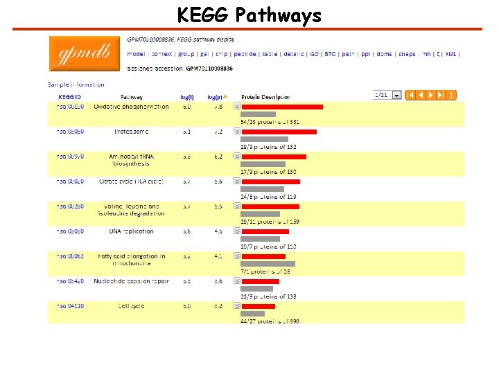 KEGG Pathways 