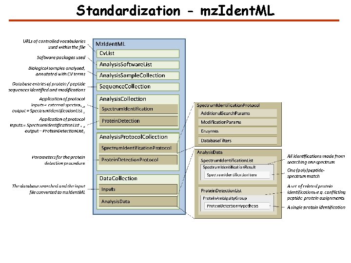 Standardization - mz. Ident. ML 