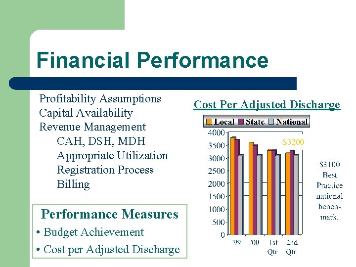 Financial Performance Profitability Assumptions Capital Availability Revenue Management CAH, DSH, MDH Appropriate Utilization Registration