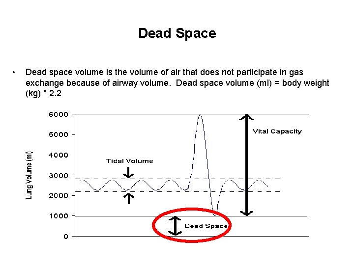 Dead Space • Dead space volume is the volume of air that does not