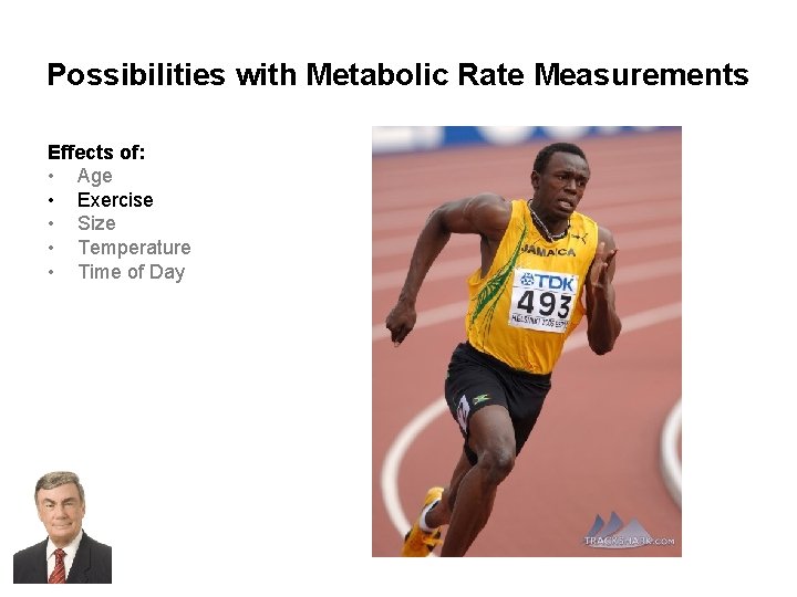 Possibilities with Metabolic Rate Measurements Effects of: • Age • Exercise • Size •