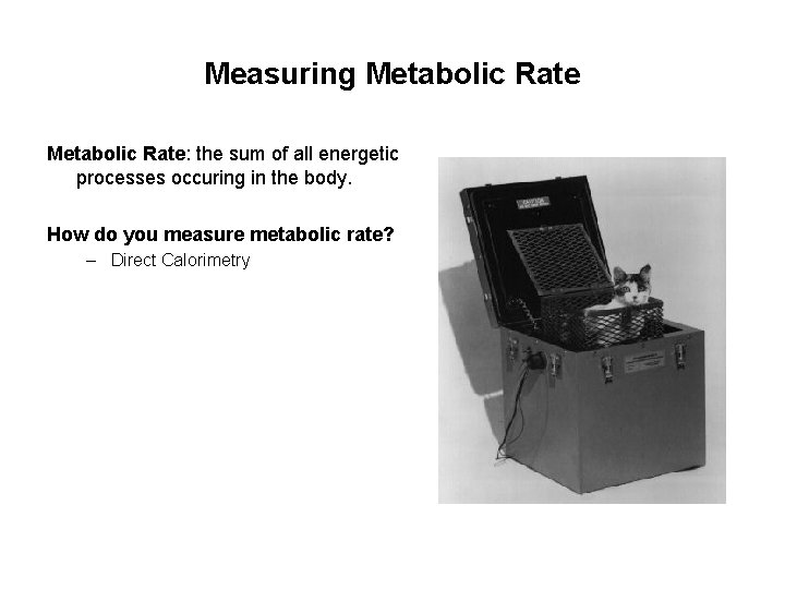 Measuring Metabolic Rate: the sum of all energetic processes occuring in the body. How