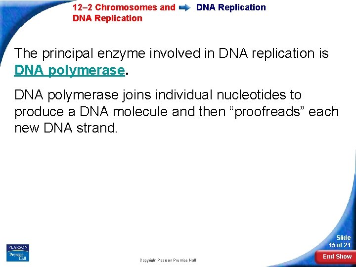 12– 2 Chromosomes and DNA Replication The principal enzyme involved in DNA replication is 12– 2 Chromosomes and DNA Replication The principal enzyme involved in DNA replication is