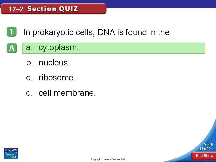 12– 2 In prokaryotic cells, DNA is found in the a. cytoplasm. b. nucleus. 12– 2 In prokaryotic cells, DNA is found in the a. cytoplasm. b. nucleus.