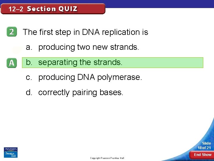 12– 2 The first step in DNA replication is a. producing two new strands. 12– 2 The first step in DNA replication is a. producing two new strands.