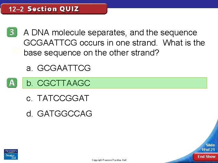 12– 2 A DNA molecule separates, and the sequence GCGAATTCG occurs in one strand. 12– 2 A DNA molecule separates, and the sequence GCGAATTCG occurs in one strand.