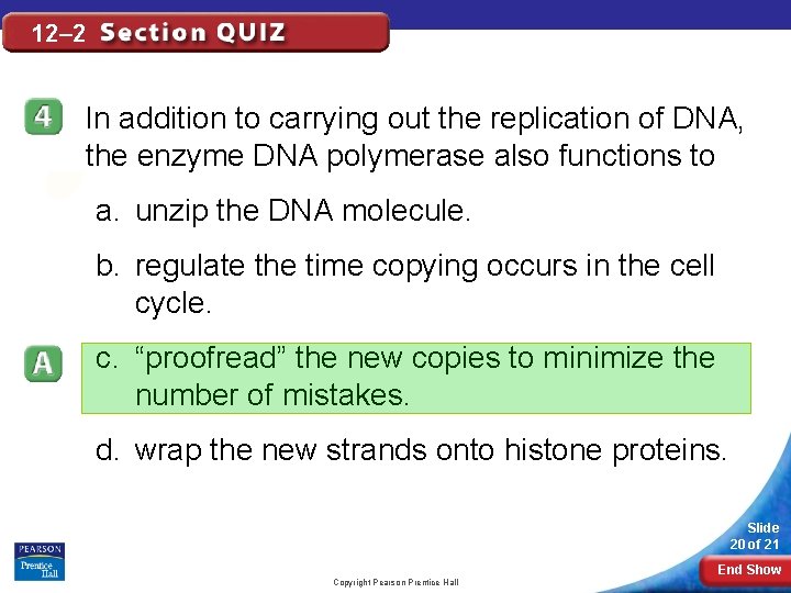 12– 2 In addition to carrying out the replication of DNA, the enzyme DNA 12– 2 In addition to carrying out the replication of DNA, the enzyme DNA