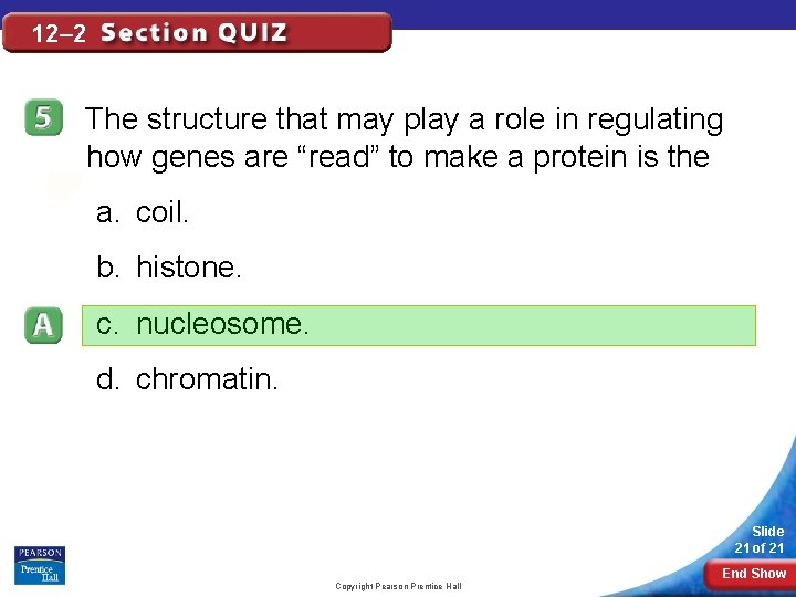 12– 2 The structure that may play a role in regulating how genes are 12– 2 The structure that may play a role in regulating how genes are