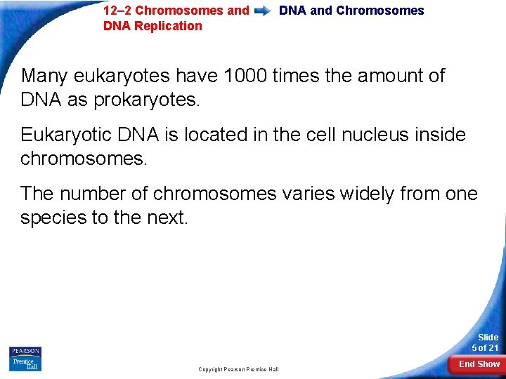 12– 2 Chromosomes and DNA Replication DNA and Chromosomes Many eukaryotes have 1000 times 12– 2 Chromosomes and DNA Replication DNA and Chromosomes Many eukaryotes have 1000 times