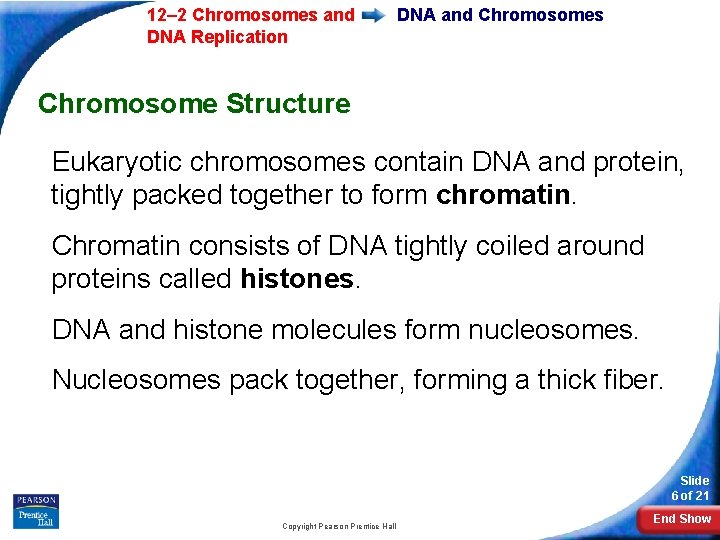 12– 2 Chromosomes and DNA Replication DNA and Chromosomes Chromosome Structure Eukaryotic chromosomes contain 12– 2 Chromosomes and DNA Replication DNA and Chromosomes Chromosome Structure Eukaryotic chromosomes contain