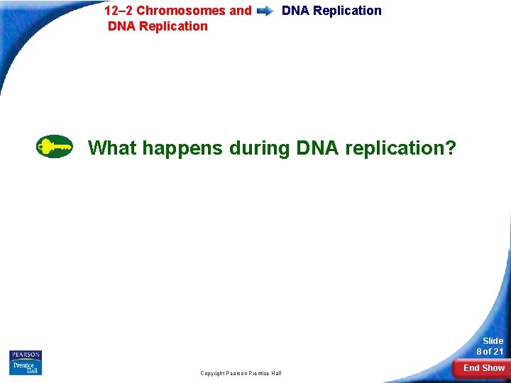 12– 2 Chromosomes and DNA Replication What happens during DNA replication? Slide 8 of 12– 2 Chromosomes and DNA Replication What happens during DNA replication? Slide 8 of