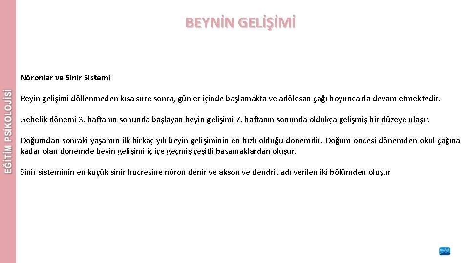 BEYNİN GELİŞİMİ Nöronlar ve Sinir Sistemi Beyin gelişimi döllenmeden kısa süre sonra, günler içinde