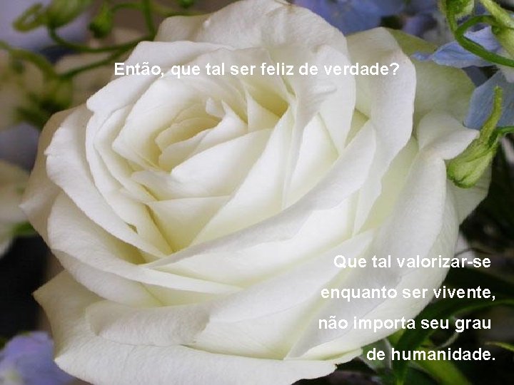 Então, que tal ser feliz de verdade? Que tal valorizar-se enquanto ser vivente, não