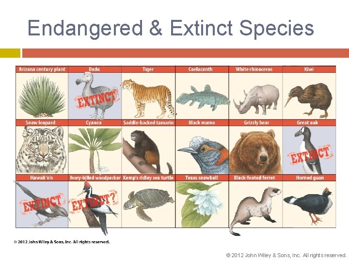 Endangered & Extinct Species © 2012 John Wiley & Sons, Inc. All rights reserved.