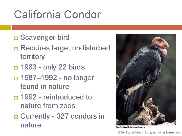 California Condor Scavenger bird Requires large, undisturbed territory 1983 - only 22 birds 1987–