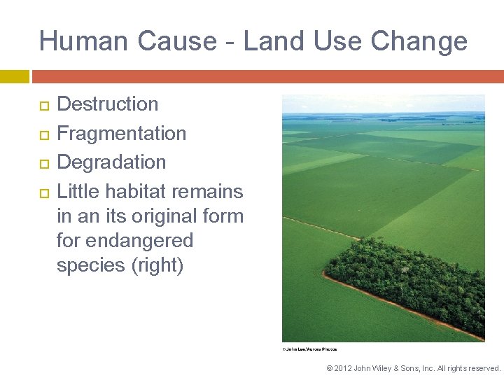 Human Cause - Land Use Change Destruction Fragmentation Degradation Little habitat remains in an