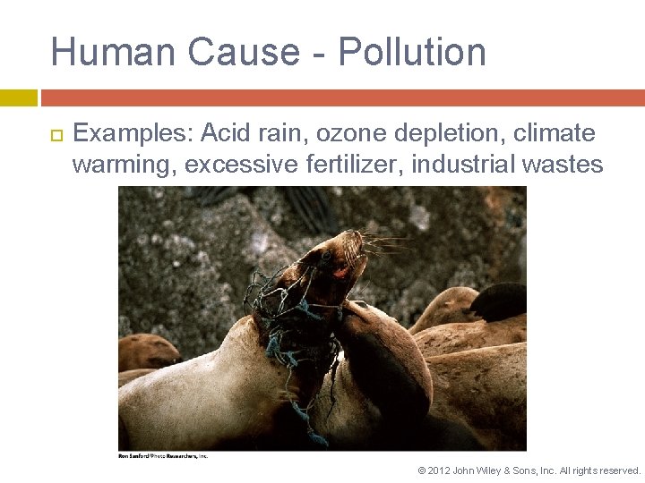 Human Cause - Pollution Examples: Acid rain, ozone depletion, climate warming, excessive fertilizer, industrial