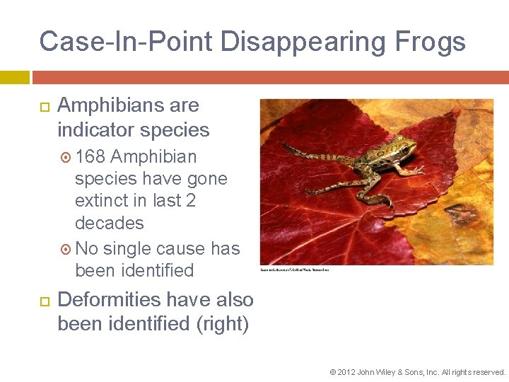 Case-In-Point Disappearing Frogs Amphibians are indicator species 168 Amphibian species have gone extinct in