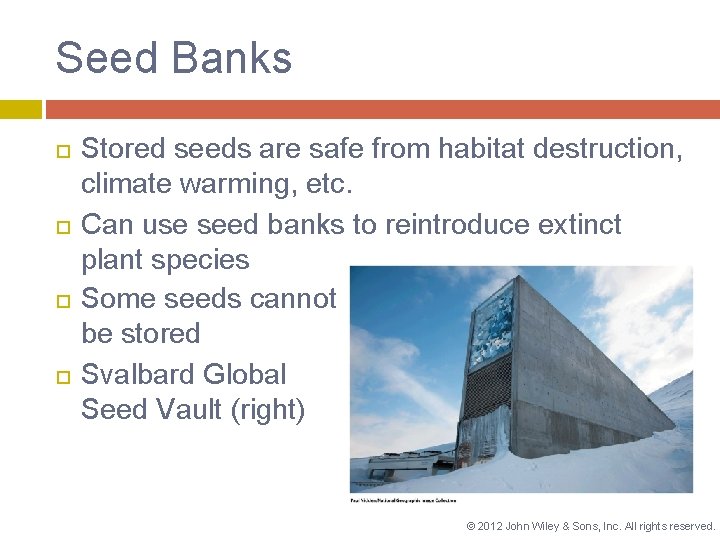 Seed Banks Stored seeds are safe from habitat destruction, climate warming, etc. Can use