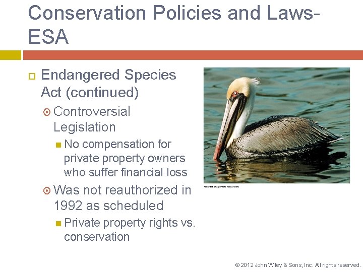 Conservation Policies and Laws. ESA Endangered Species Act (continued) Controversial Legislation No compensation for