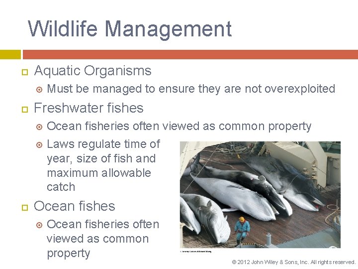 Wildlife Management Aquatic Organisms Must be managed to ensure they are not overexploited Freshwater